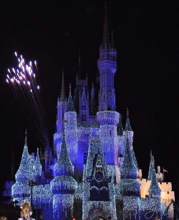 [DSC_0096%255B6%255D.jpg]