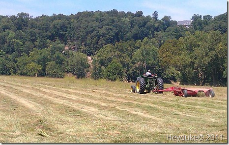 2011-08-02 Making hay in Toms Brook VA 009