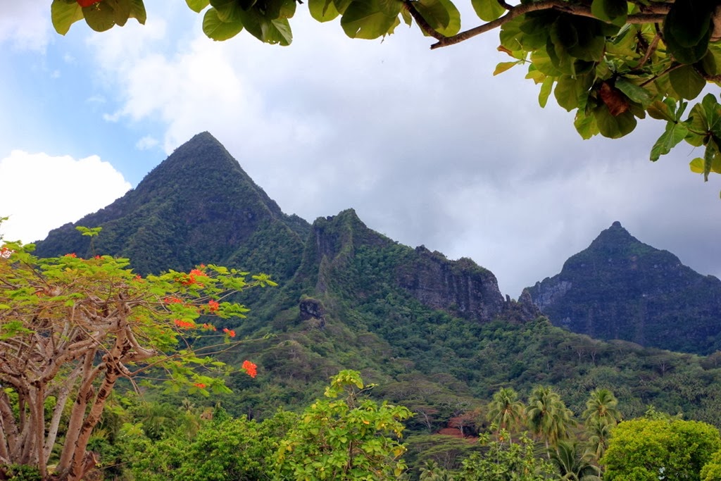 [30-IMG_5135%255B3%255D.jpg]