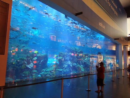  Acvariu din Dubai Mall