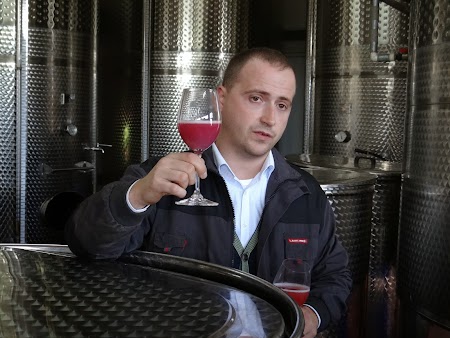 Ion Luca, Carpe Diem