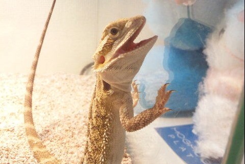 [37_1%255B8%255D.jpg]