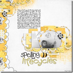 930 SnS-SpellingLifecycles