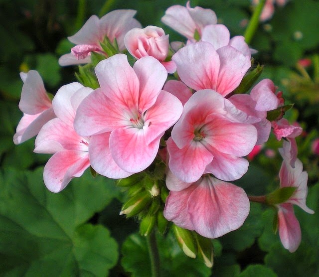 [clip_image002%255B4%255D.jpg]