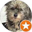 Giulia Guido profile picture