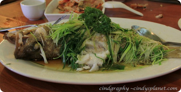 Lao Ta Kuta HongKong style Steam Fish