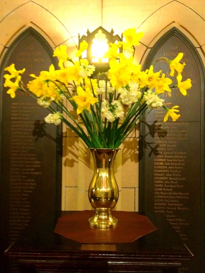 Robyn Daffodils