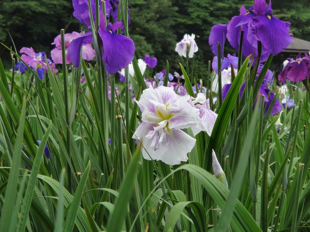 [DSC02480%255B4%255D.jpg]