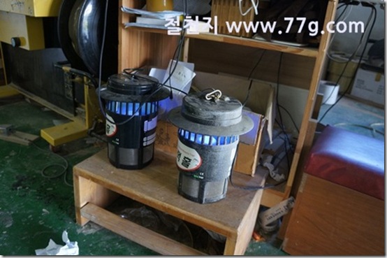 77gDSC05115-20130903-133400