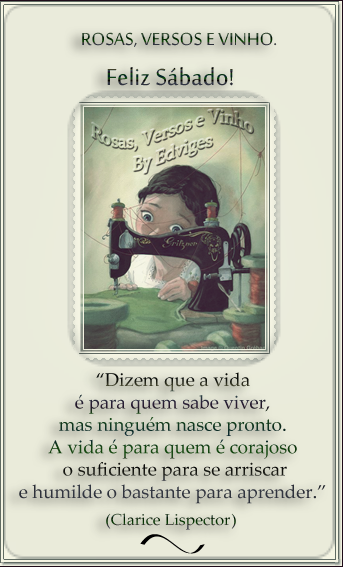 mimo4rosasversosevinhoedviges.png