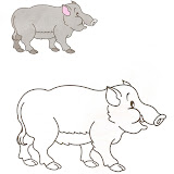 Colorea animales (18).jpg