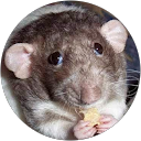 Πέπυ Δ. profile picture