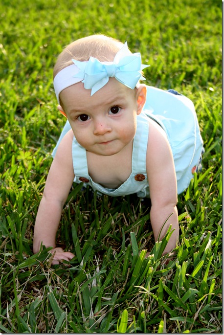 Finley crawling in grass