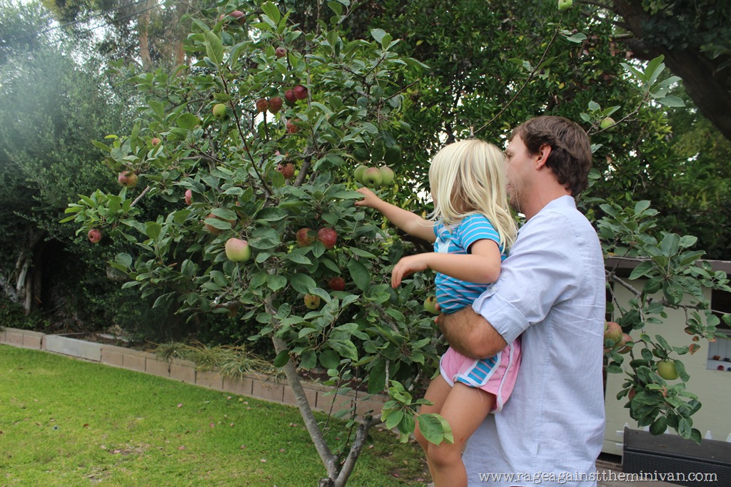 [IMG_9863%255B3%255D.jpg]