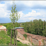Burgmauern Burg Eisenhardt