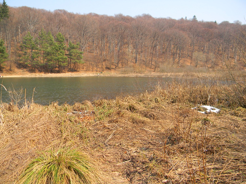 [DSCN75613.jpg]