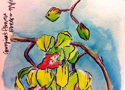 Watercolour and Ink orchids