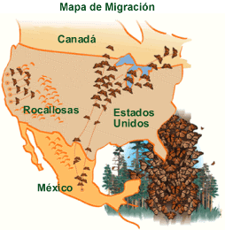 [mariposa%2520monarca%2520mapa_de_migracion%255B3%255D.gif]