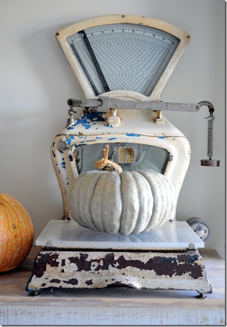 scale with pumpkins