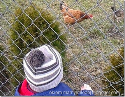 11005558_10202843623245335_1873884224_n