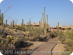 Arizona Spring 2012 149