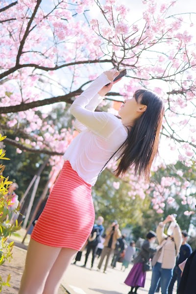 [Patreon] 쏘블리 (@leeesovely) Sakura Part2