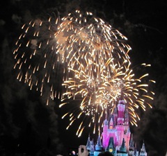 Disney trip fireworks near castle 1