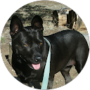 Karen Larimer profile picture