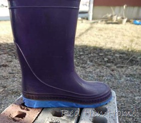 boots, enamel, Rachel 003