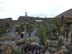 Lanzarote 2011 - - 022