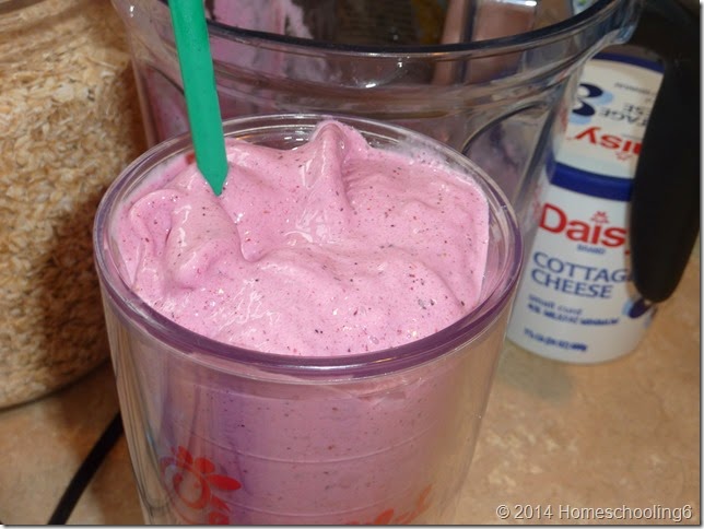 Raspberry Cheesecake Shake (Trim Healthy Mama) - Homeschooling 6