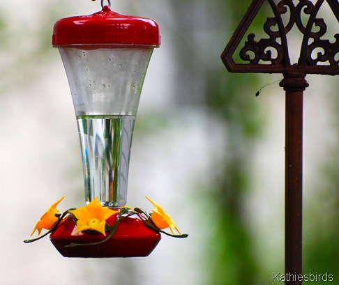 3. hummingbird feeder-kab