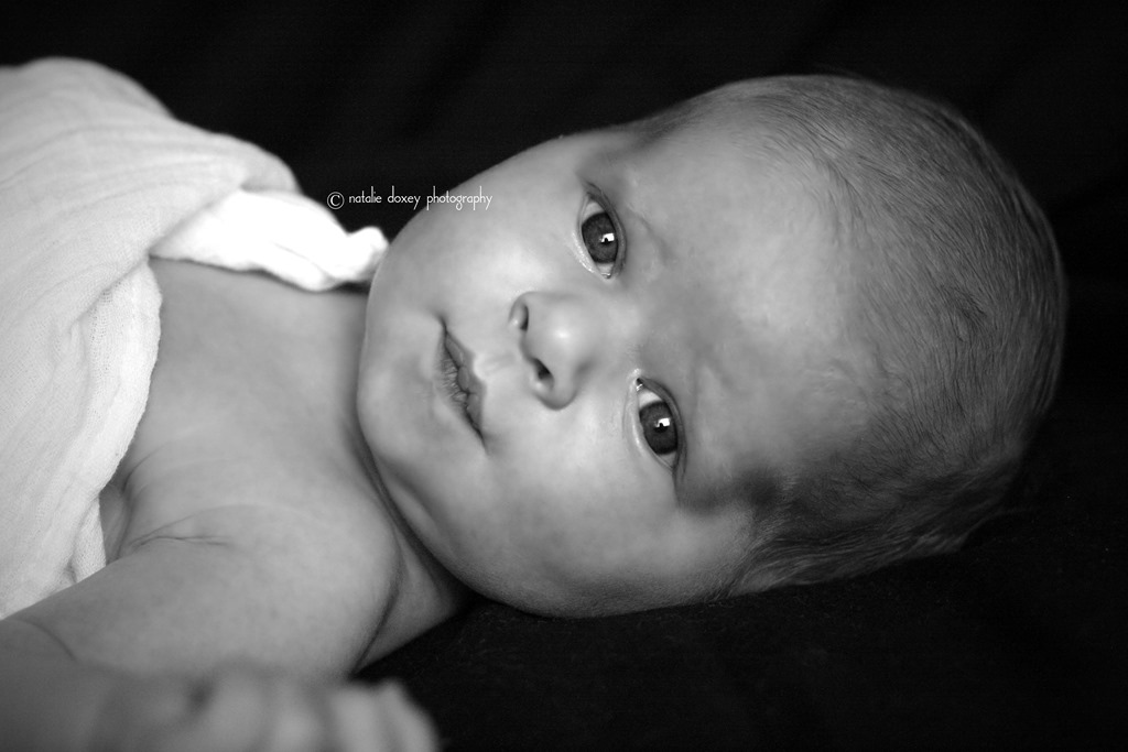 [June%252011th%2520and%252012th%2520Thoming%2520Baby%2520438bw%255B4%255D.jpg]