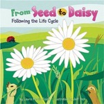 From Seed to Daisy