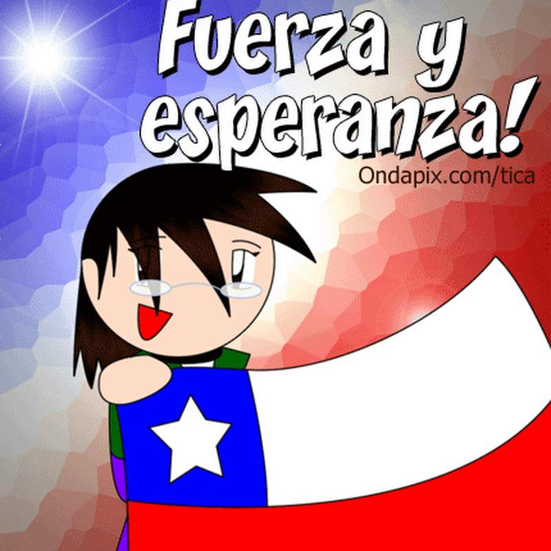 Chile, postales de Viva Chile, mierda