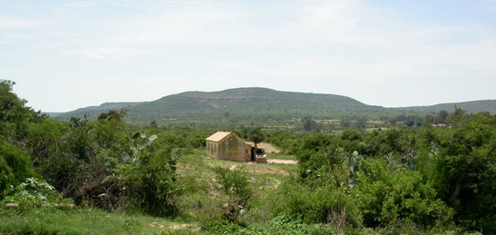 [DSCN1191%255B11%255D.jpg]