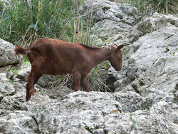 2012-10-20 Mallorca by BREITENGRAD53 - 066
