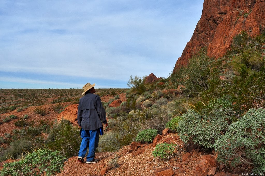 [DSC_0022%255B9%255D.jpg]