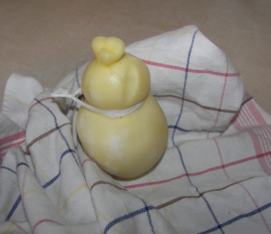 [SCAMORZA6.jpg]