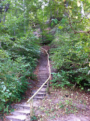 Insel Rügen 2010 - 07