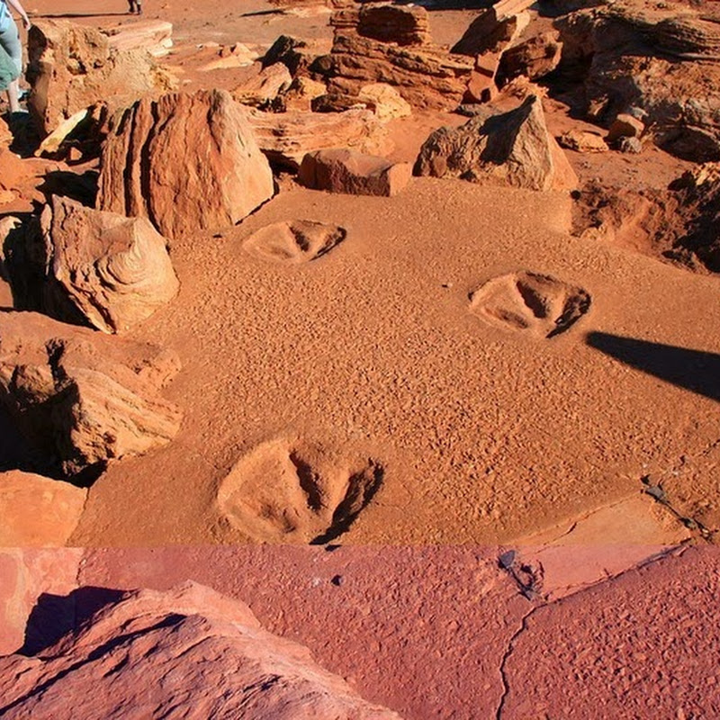 dinosaur footprints gantheaume point