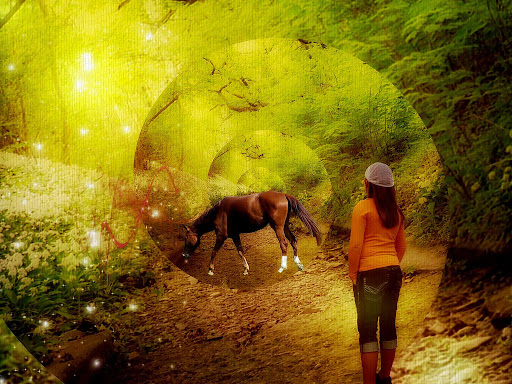 3501284545_388d5e9950_b