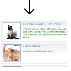 Textual description of firstImageUrl