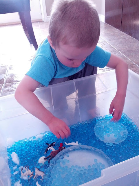 Preschooler playing with water beads in an arctic animals sensory bin