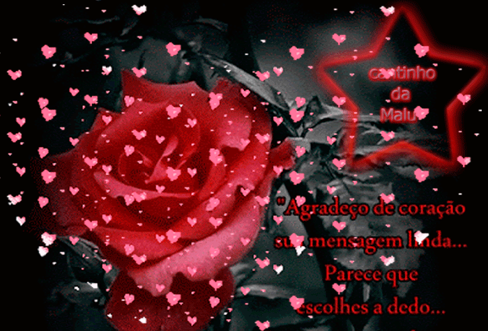agrade%C3%A7odecora%C3%A7%C3%A3o2.gif