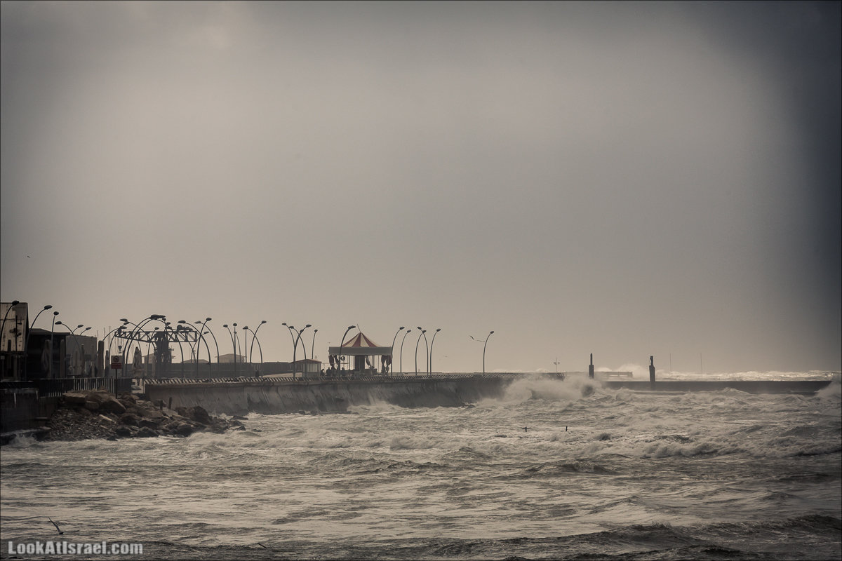 LookAtIsrael.com - Прогулка по дождливому Тель Авиву | Rain in Tel Aviv