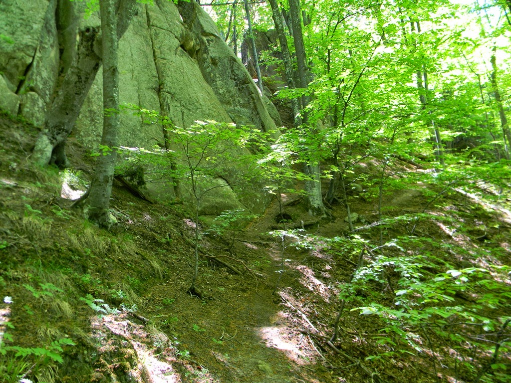 [DSCN93663.jpg]