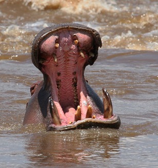 [clip_image002%255B8%255D.jpg]