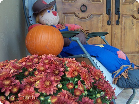 Front_Porch_Mums_Scarecrow