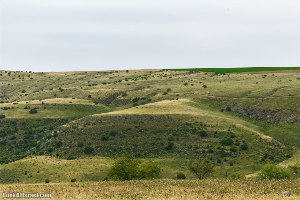 LookAtIsrael.com: Фото-блог о путешествиях по Израилю. Тель Авив, Иерусалим, Хайфа 